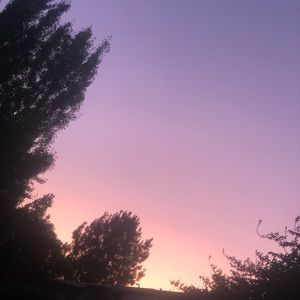 Meet your Posher, Annabel